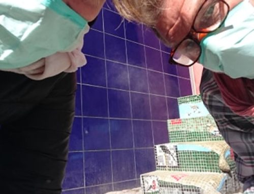 Livet pågår, trots allt…